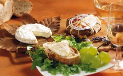 Fiche Fromage : Le Banon